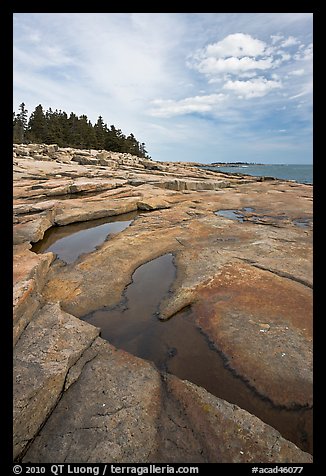 Slabs and puddles near Schoodic Point. Acadia National Park, Maine, USA.