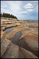 Slabs and puddles near Schoodic Point. Acadia National Park, Maine, USA. (color)
