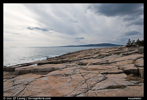 Rock slabs, Schoodic Point. Acadia National Park, Maine, USA.