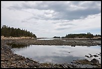 East Pond, Schoodic Peninsula. Acadia National Park, Maine, USA.