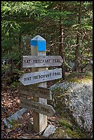 Signs at trail junction, Isle Au Haut. Acadia National Park ( color)