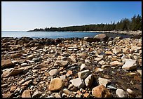 Stream on Barred Harbor beach, Isle Au Haut. Acadia National Park, Maine, USA. (color)