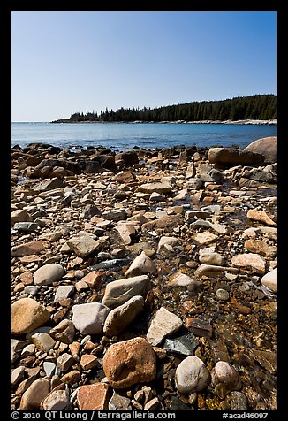 Streams flows into cove, Isle Au Haut. Acadia National Park (color)