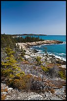 Rocky coastline, Isle Au Haut. Acadia National Park ( color)