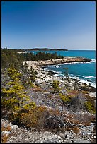 Rocky coastline, Isle Au Haut. Acadia National Park, Maine, USA.