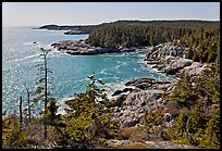 Coastline seen from Goat Trail, Isle Au Haut. Acadia National Park, Maine, USA.