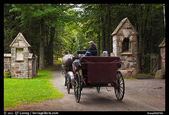 Carriage passing through carriage road gate. Acadia National Park (color)