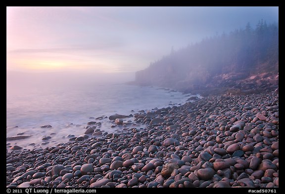 Boulder beach and cliffs in fog, dawn. Acadia National Park, Maine, USA.