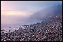 Boulder beach and cliffs in fog, dawn. Acadia National Park, Maine, USA.