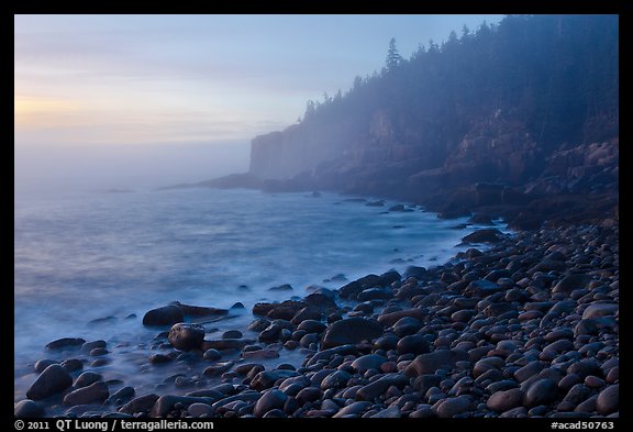 Otter cliff and cobblestones on misty morning. Acadia National Park (color)