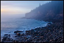Otter cliff and cobblestones on misty morning. Acadia National Park, Maine, USA. (color)