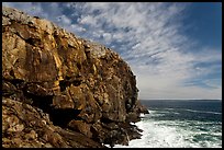 Tall granite headland. Acadia National Park, Maine, USA.