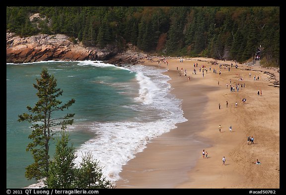 Sand Beach from above. Acadia National Park, Maine, USA.