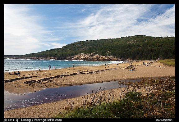 Tidal creek and Sand Beach. Acadia National Park, Maine, USA.