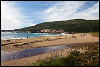 Tidal creek and Sand Beach. Acadia National Park, Maine, USA.