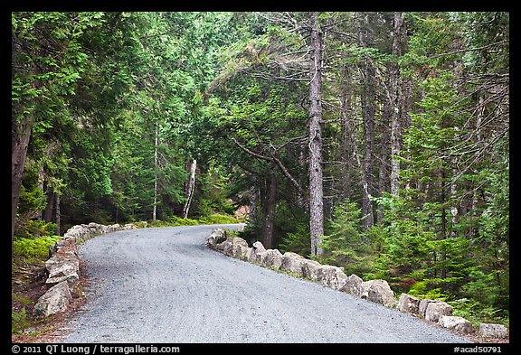 Carriage road in summer. Acadia National Park (color)