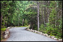 Carriage road in summer. Acadia National Park, Maine, USA.