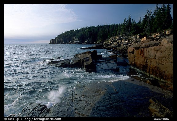 Pink granite slabs on the coast near Otter Point, morning. Acadia National Park (color)