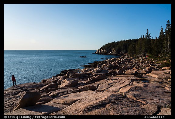 Visitor looking, near Otter Point. Acadia National Park (color)