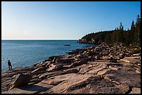 Visitor looking, near Otter Point. Acadia National Park, Maine, USA.