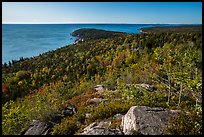 Coast and woods from Gorham Mountain. Acadia National Park ( color)