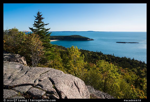 Outcrop, Sand Beach and trees from Gorham Mountain. Acadia National Park (color)