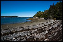 Beach around Bar Harbor Island at low tide. Acadia National Park ( color)