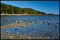 Bar Harbor Island at low tide. Acadia National Park ( color)