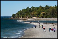 Tourists walking back from Bar Harbor Island with tide rising. Acadia National Park ( color)