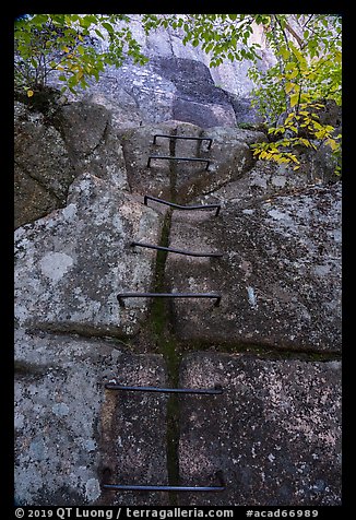 Iron rungs, Precipice Trail. Acadia National Park (color)