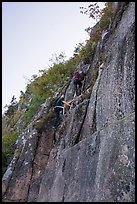 Hikers on vertical section of Precipice Trail. Acadia National Park ( color)