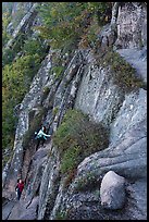 Hikers scaling cliff with iron rungs. Acadia National Park ( color)