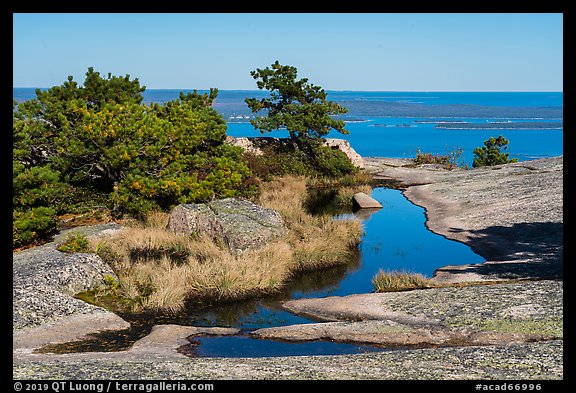 Rain-filled potholes and Ocean from Champlain Mountain. Acadia National Park (color)