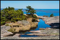 Rain-filled potholes and Ocean from Champlain Mountain. Acadia National Park ( color)