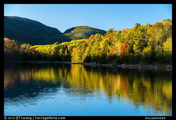 Trees in autumn foliage reflected in pond, Otter Creek. Acadia National Park (color)