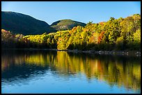 Trees in autumn foliage reflected in pond, Otter Creek. Acadia National Park ( color)