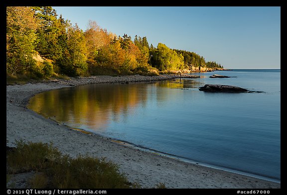 Autumn reflections, Otter Cove. Acadia National Park (color)