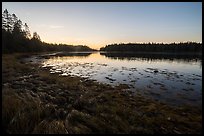 West Pond at sunrise, Schoodic Peninsula. Acadia National Park ( color)