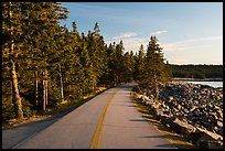 Road, Schoodic Peninsula. Acadia National Park ( color)