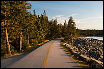 Road, Schoodic Peninsula. Acadia National Park, Maine, USA.