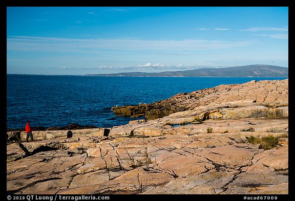 Visitor looking, Schoodic Point. Acadia National Park, Maine, USA.