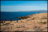 Visitor looking, Schoodic Point. Acadia National Park, Maine, USA.