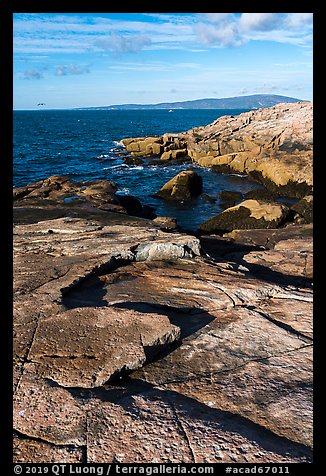 Slabs, Schoodic Point. Acadia National Park, Maine, USA.