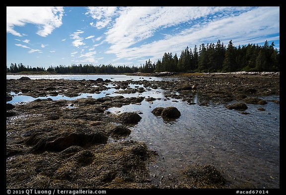 East Pond and Little Moose Island at low tide. Acadia National Park (color)