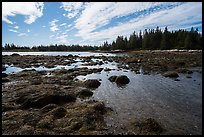 East Pond and Little Moose Island at low tide. Acadia National Park ( color)