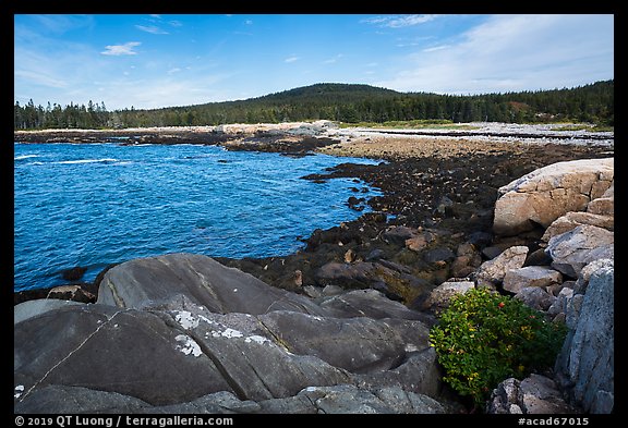 Schoodic Head from Little Moose Island. Acadia National Park (color)