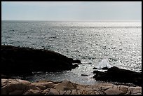 Shimmering ocean from Little Moose Island. Acadia National Park ( color)