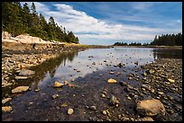 East Pond, low tide. Acadia National Park ( color)