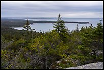 View from Schoodic Head. Acadia National Park ( color)