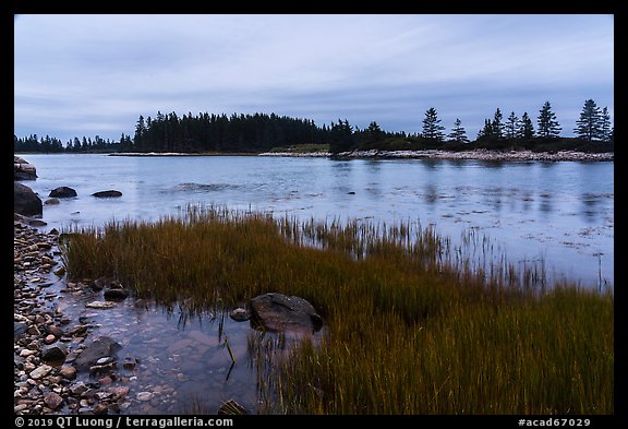 East Pond and  Little Moose Island at high tide. Acadia National Park (color)